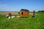 Trespa Kippenhok / Duplex L - Cucciolotta, Dieren en Toebehoren, Ophalen of Verzenden, Nieuw, Kippenhok of Kippenren