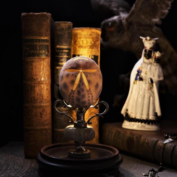 Cabinet de Curiosités, Antiek en Kunst, Curiosa en Brocante, Ophalen of Verzenden