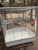 frettenkooi (knaagdierenkooi), Dieren en Toebehoren, Ophalen, Zo goed als nieuw, Kooi