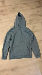 Lichtblauwe Hoodie maat M, Kleding | Dames, Truien en Vesten, Ophalen, Gedragen, Maat 38/40 (M)