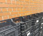 Bakjes CASI, Ophalen of Verzenden, Zo goed als nieuw, Kunststof, Tuin