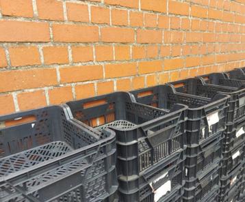 Bakjes CASI  beschikbaar voor biedingen