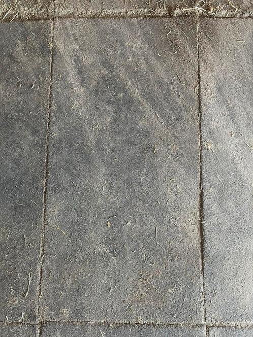 Staltegels, Dieren en Toebehoren, Paarden en Pony's | Overige Paardenspullen, Gebruikt, Ophalen
