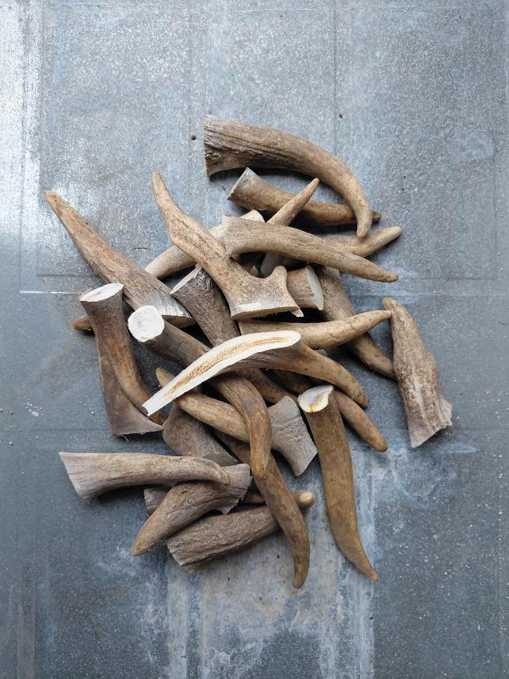 Naturel kauwbotten voor honden., Dieren en Toebehoren, Dierenvoeding, Hond, Ophalen