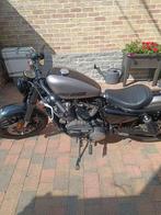 Harley-Davidson, Motoren, Chopper, Particulier, 1200 cc