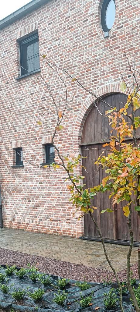 Pastorij stijl bakstenen Jef stone mix, Doe-het-zelf en Bouw, Metselstenen, Zo goed als nieuw, Bakstenen, Ophalen