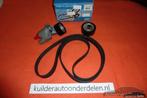 Multiriem +spanrol Citroen Xsara Jumpy Peugeot 206 Expert 1,, Ophalen of Verzenden, Nieuw, Citroën