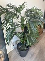 Kunstplant, Huis en Inrichting, Kamerplanten, Ophalen