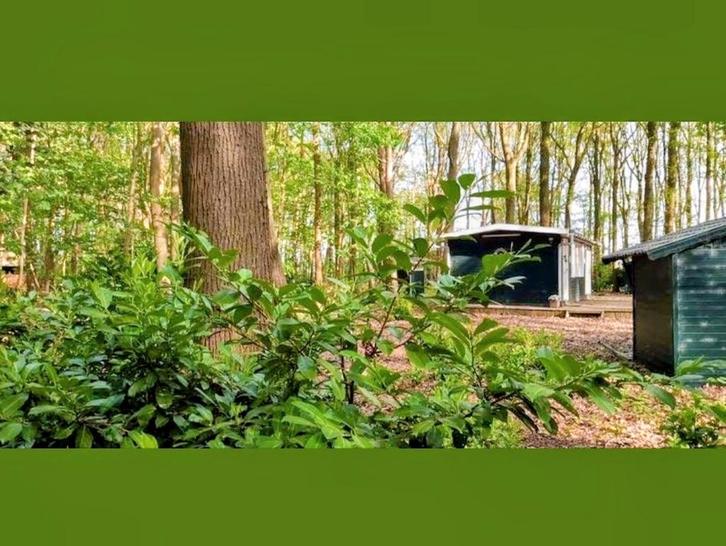 Te koop 2025 / 2026 zomerhuis + groot stuk bos, Immo, Buitenverblijven te koop