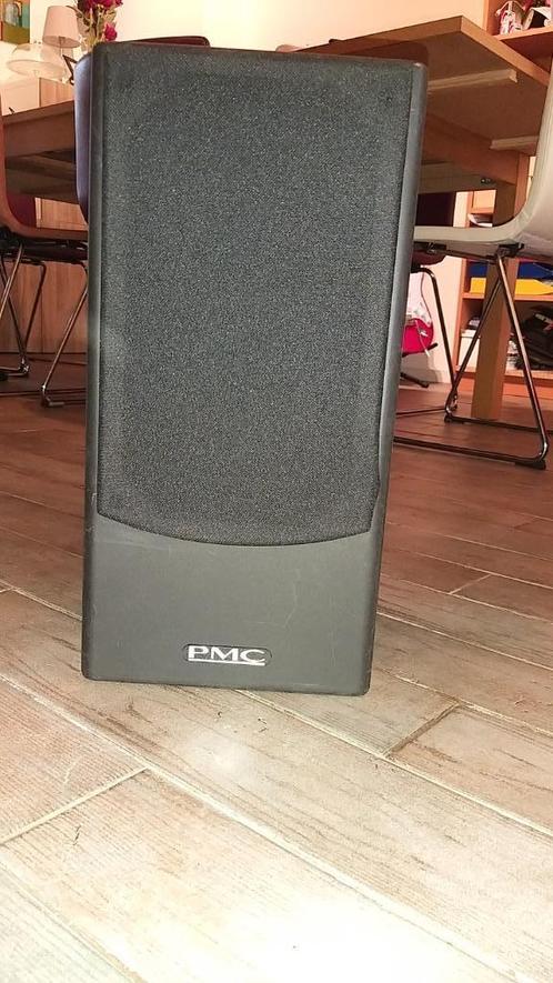 PMC DS-002 200 W moniteur de studio une pièce !, Computers en Software, Monitoren, Gebruikt, Overige typen, Ophalen