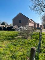 Meerstammige magnolias suzan en kobus, Tuin en Terras, Planten | Bomen, Ophalen, Lente, 100 tot 250 cm