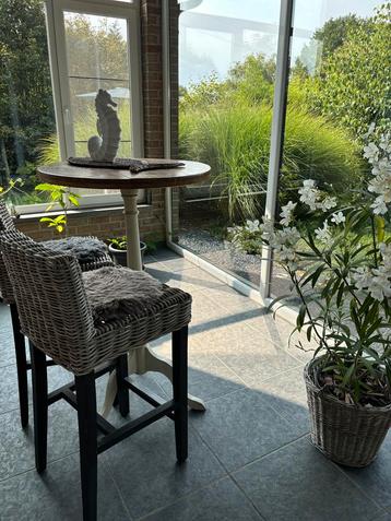 Bistro set  beschikbaar voor biedingen
