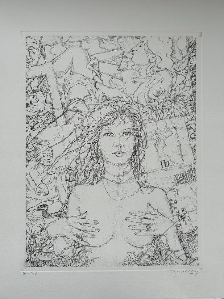Ronald ERGO - Originele ets "Zeven plagen" - 41x51cm, Antiek en Kunst, Kunst | Litho's en Zeefdrukken, Ophalen of Verzenden