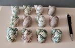 Gastropod zeeslakken emerald &, Ophalen of Verzenden, Nieuw, Overige soorten, Overige typen