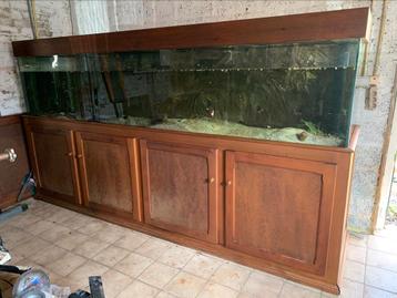 Aquarium 3m op 70 op 70 met bioloog van 250 liter . beschikbaar voor biedingen
