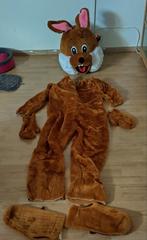 Paashaas kostuum, Ophalen