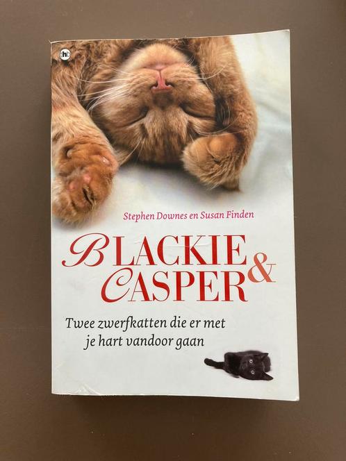 Stephen Downes, Susan Finden: Blackie en Casper, Boeken, Dieren en Huisdieren, Zo goed als nieuw, Katten, Ophalen of Verzenden