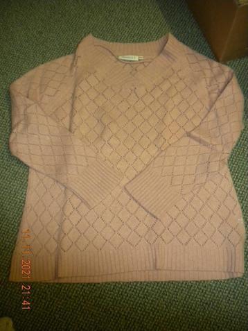 Bloezen (roos) 4st. beschikbaar voor biedingen