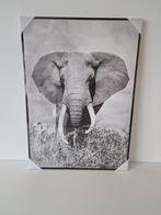 Canvas Olifant, Huis en Inrichting, Woonaccessoires | Schilderijen, Tekeningen en Foto's, Ophalen, Nieuw