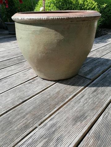 Plantenpot beschikbaar voor biedingen