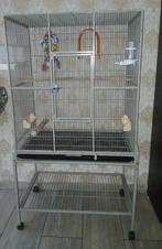Grande cage oiseau avec ses accessoires complets, Enlèvement ou Envoi