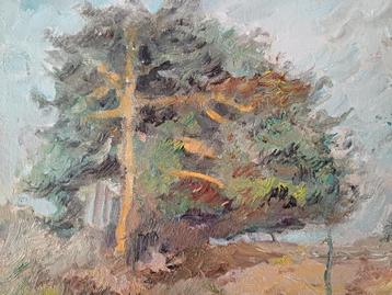 Schilderij M.VAN DEN BEMPT "Kalmthoutse Heide" beschikbaar voor biedingen