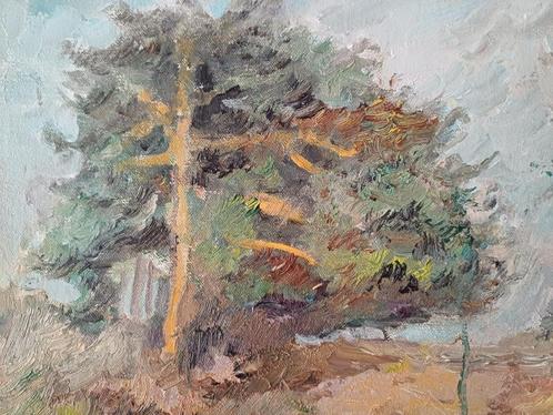 Schilderij M.VAN DEN BEMPT "Kalmthoutse Heide", Antiek en Kunst, Kunst | Schilderijen | Klassiek, Ophalen of Verzenden