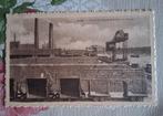Vintage Postkaart Boom oude Steenfabriek en Rupel, Enlèvement ou Envoi