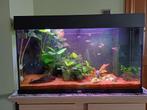 aquarium, Ophalen, Gebruikt