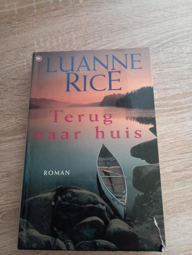 terug naar huis - Luanne Rice (roman), Livres, Romans, Utilisé, Enlèvement ou Envoi