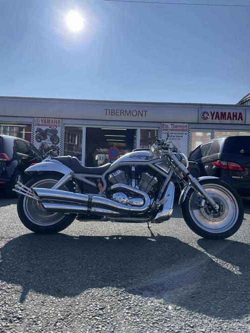 Harley-Davidson VROD, Motoren, Motoren | Harley-Davidson, Bedrijf, Chopper, meer dan 35 kW, 2 cilinders, Ophalen