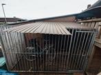 Te koop honden ren, Dieren en Toebehoren, Ophalen, Zo goed als nieuw