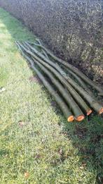 Pootgoed knotwilg, Tuin en Terras, Ophalen