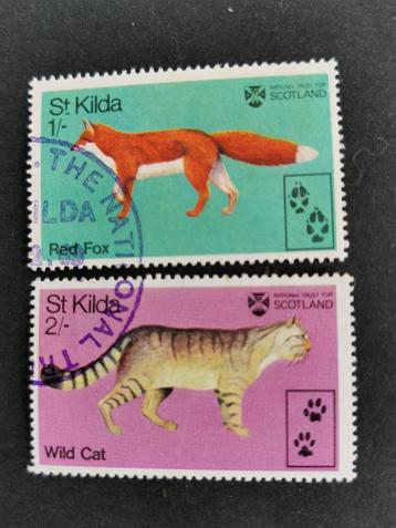 St Kilda (Écosse) 1970 - animaux sauvages - renard, chat sau