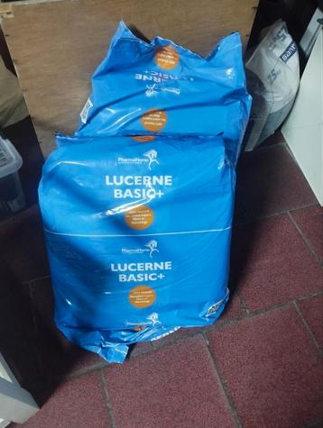 Lucerne 2 nieuwe zakken gesloten  beschikbaar voor biedingen