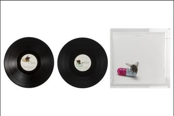 Damien Hirst gesigneerde LP voor RHCP – in plexibox beschikbaar voor biedingen