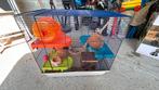 Cage hamster, Animaux & Accessoires, Comme neuf, Cage, Hamster