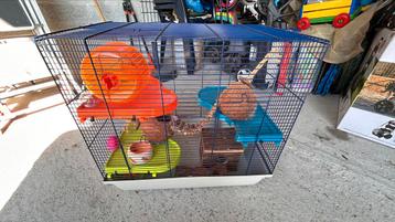 Cage hamster 