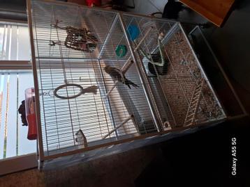 Kooi  met vogel  beschikbaar voor biedingen
