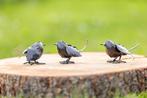 Beaux oiseaux - oiseaux en métal, Antiquités & Art, Enlèvement ou Envoi