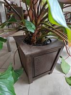 Wenge bloembak, Ophalen, Minder dan 60 cm, Vierkant, Nieuw