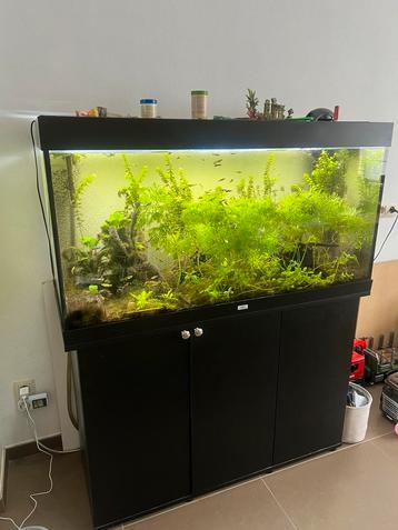 Juwel aquarium 240 volledig beschikbaar voor biedingen
