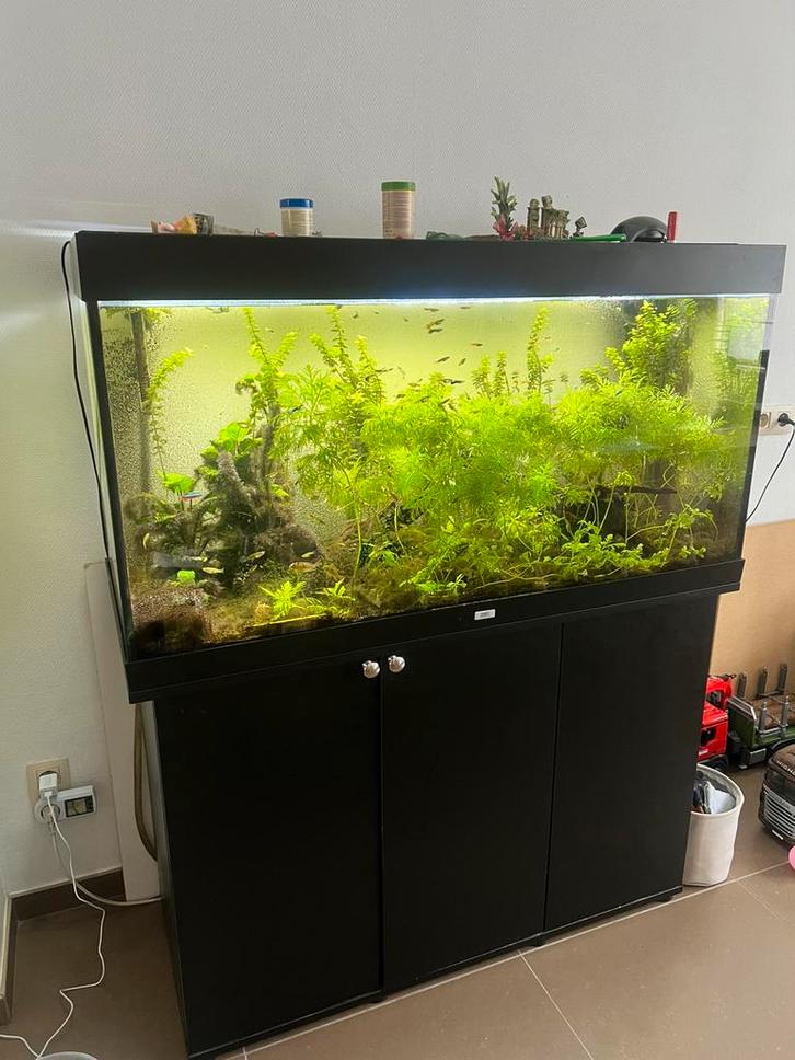 Juwel aquarium 240 volledig, Dieren en Toebehoren, Vissen | Aquaria en Toebehoren, Zo goed als nieuw, Gevuld zoetwateraquarium