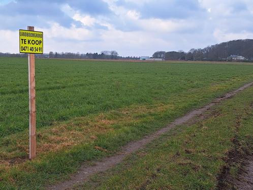 Landbouwgrond, weide te koop in Bornem Hingene, Immo, Gronden en Bouwgronden