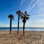 maison 3ch a vendre en espagne, Immo, Village, 151 m², La mata, 3 pièces