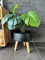 Mat zwarte stenen bloempot op houten poten, breedte 34cm, Tuin en Terras, Ophalen