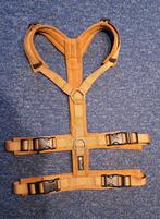 2 x Harnas hond, Enlèvement