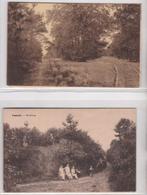 Kasterlee - Holleweg - Goor, Collections, Cartes postales | Belgique, Non affranchie, 1940 à 1960, Enlèvement ou Envoi, Anvers