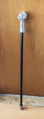 Wandelstok fantasie (drakenklauw) / alles aan - 50%, Diversen, Ophalen of Verzenden, Zo goed als nieuw