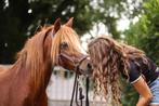Lieve A pony merrie, Dieren en Toebehoren, Pony's, Merrie, B, A pony (tot 1.17m), Gechipt